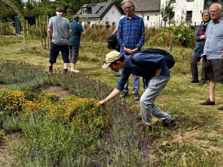 Naturprojekt in Kleve-Keeken: Wie auf einem ehemaligen Maisfeld der „Future Food Forest“ entsteht