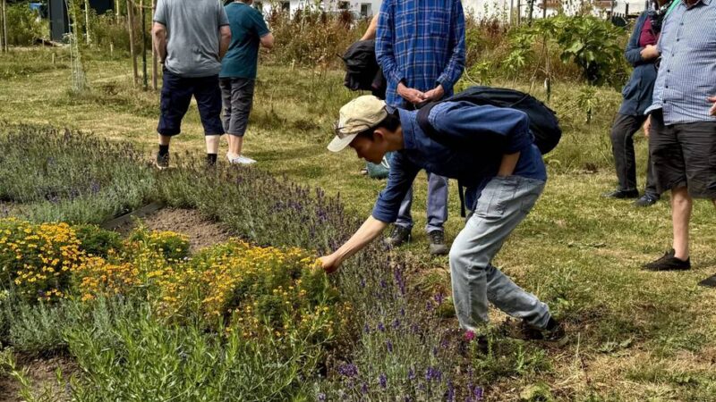 Naturprojekt in Kleve-Keeken: Wie auf einem ehemaligen Maisfeld der „Future Food Forest“ entsteht