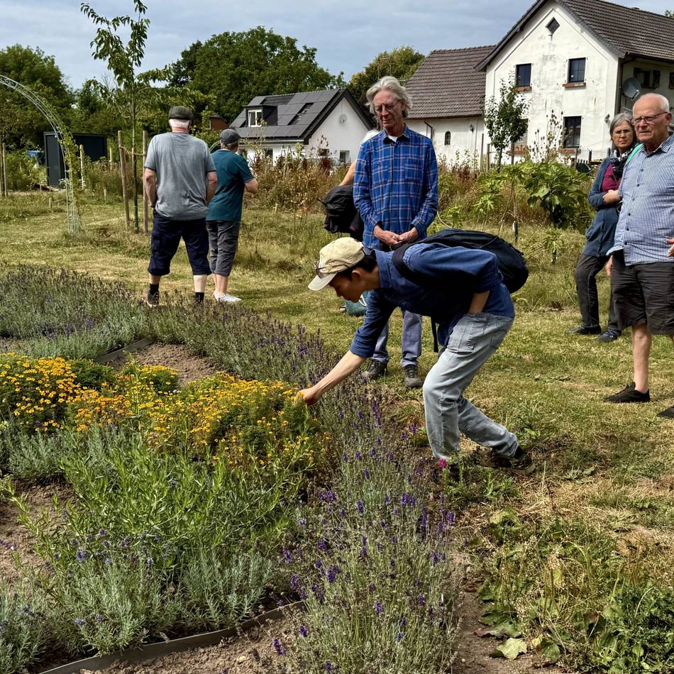 Naturprojekt in Kleve-Keeken: Wie auf einem ehemaligen Maisfeld der „Future Food Forest“ entsteht