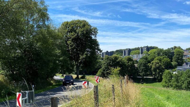 Unfallatlas-Ergebnisse für Radevormwald: Auf der L 414 wird zu schnell gefahren – Punkt