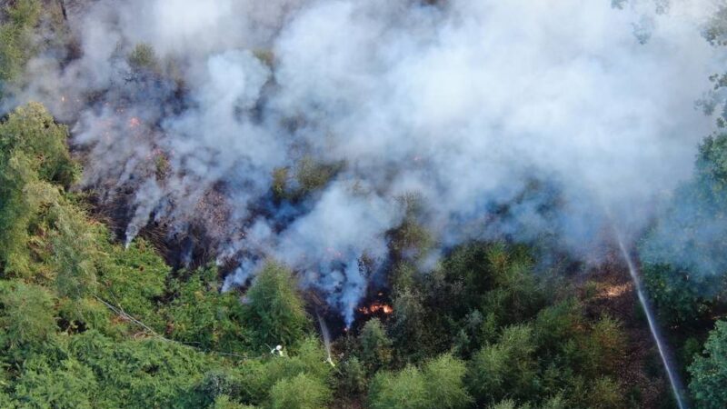 Kreis und Feuerwehren warnen: Die Waldbrandgefahr im Bergischen ist gefährlich hoch