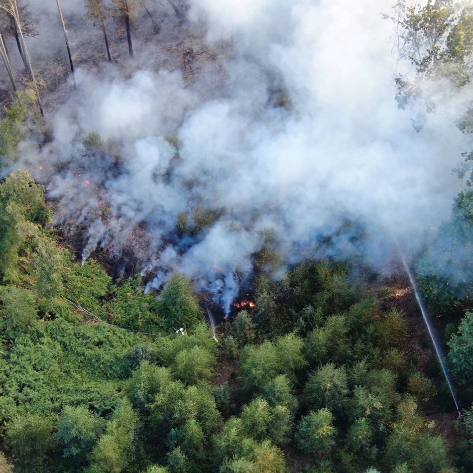 Kreis und Feuerwehren warnen: Die Waldbrandgefahr im Bergischen ist gefährlich hoch