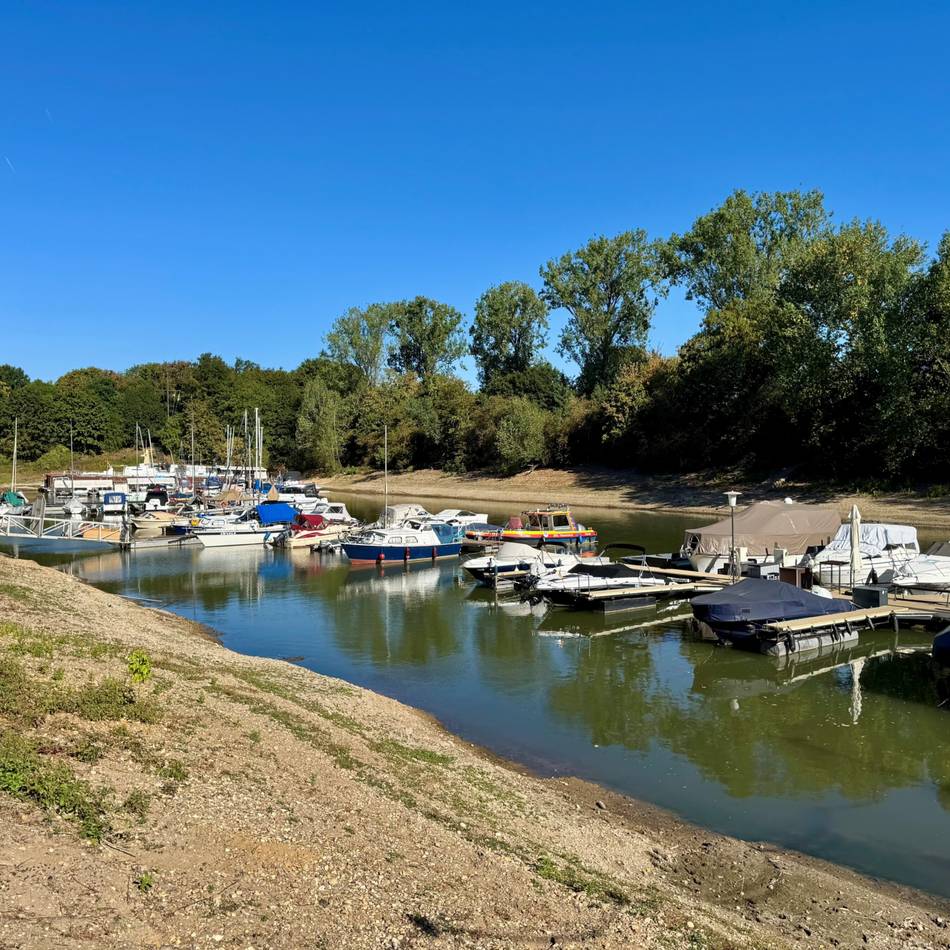 Wassersport auf dem Rhein in Neuss: „Dauerhaft ist die Situation für uns nicht spaßig“