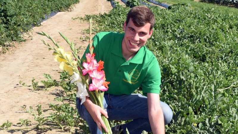 Einige Adressen im Überblick: Blumen zum Selberschneiden – hier gibt es sie im Rhein-Kreis Neuss