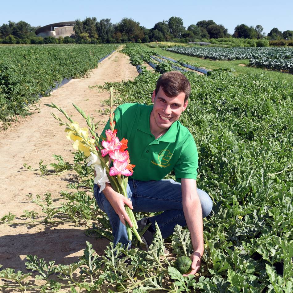Einige Adressen im Überblick: Blumen zum Selberschneiden – hier gibt es sie im Rhein-Kreis Neuss