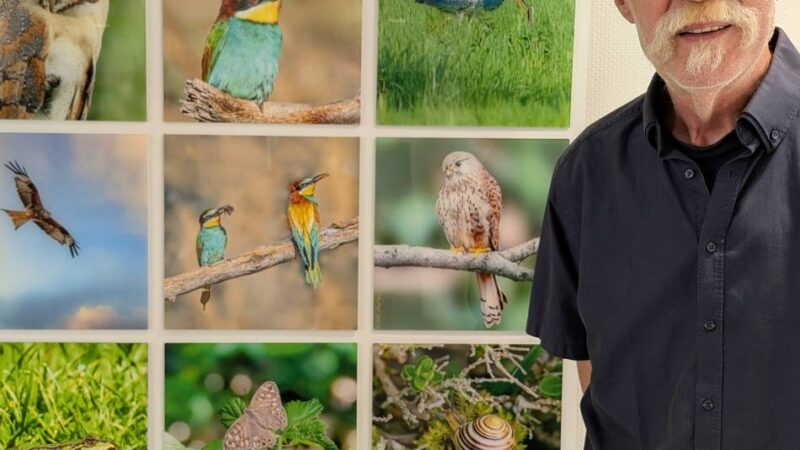 Kunst in Korschenbroich: Tiere und Pflanzen in leuchtenden Farben