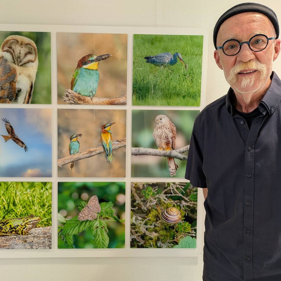 Kunst in Korschenbroich: Tiere und Pflanzen in leuchtenden Farben