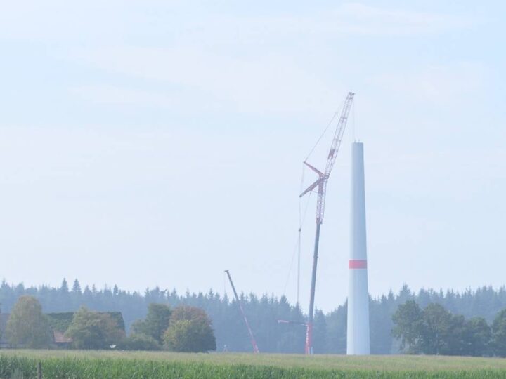 Windräder im Reichswald: Windpark-Antrag von Abo-Energy stockt