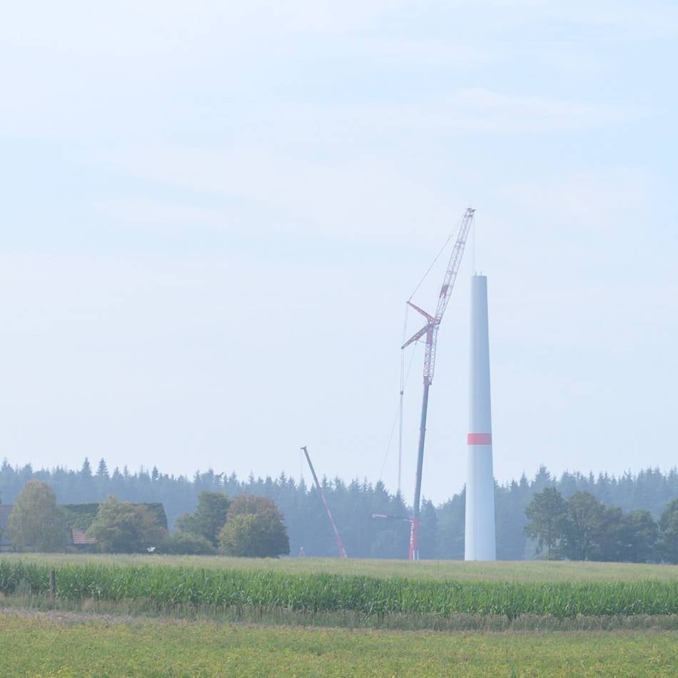 Windräder im Reichswald: Windpark-Antrag von Abo-Energy stockt