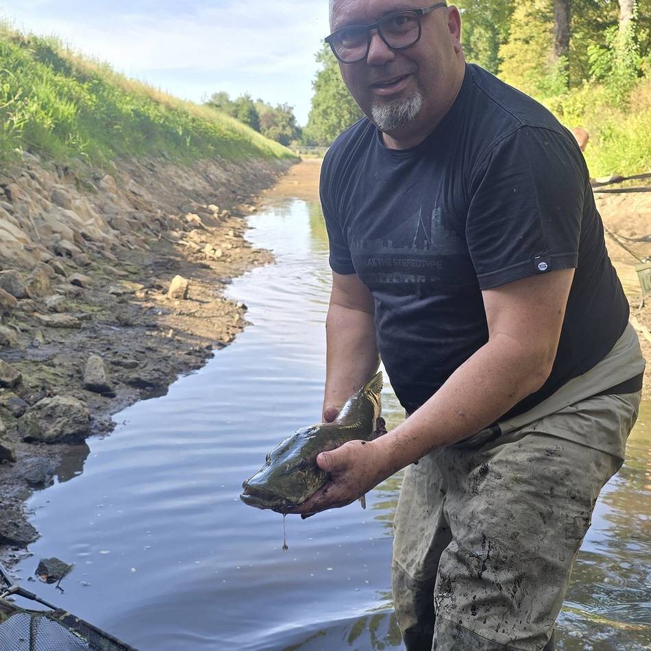 Hilfsaktion in der Issel bei Hamminkeln: 60 Kilo Fische gerettet – „Wenn das Wasser verschwindet, zählt jede Stunde“