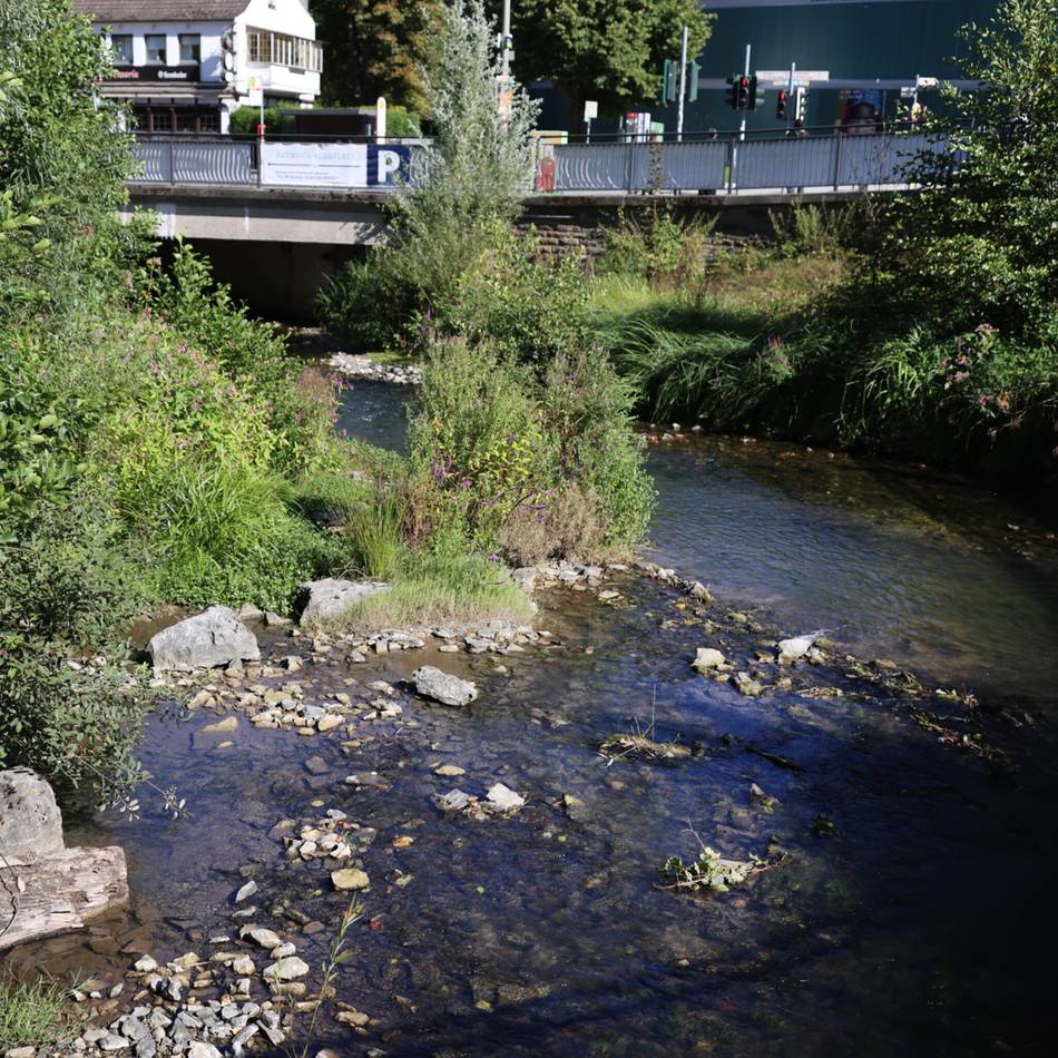 Bäche, Teiche, Seen: Dürre setzt Gewässern zu