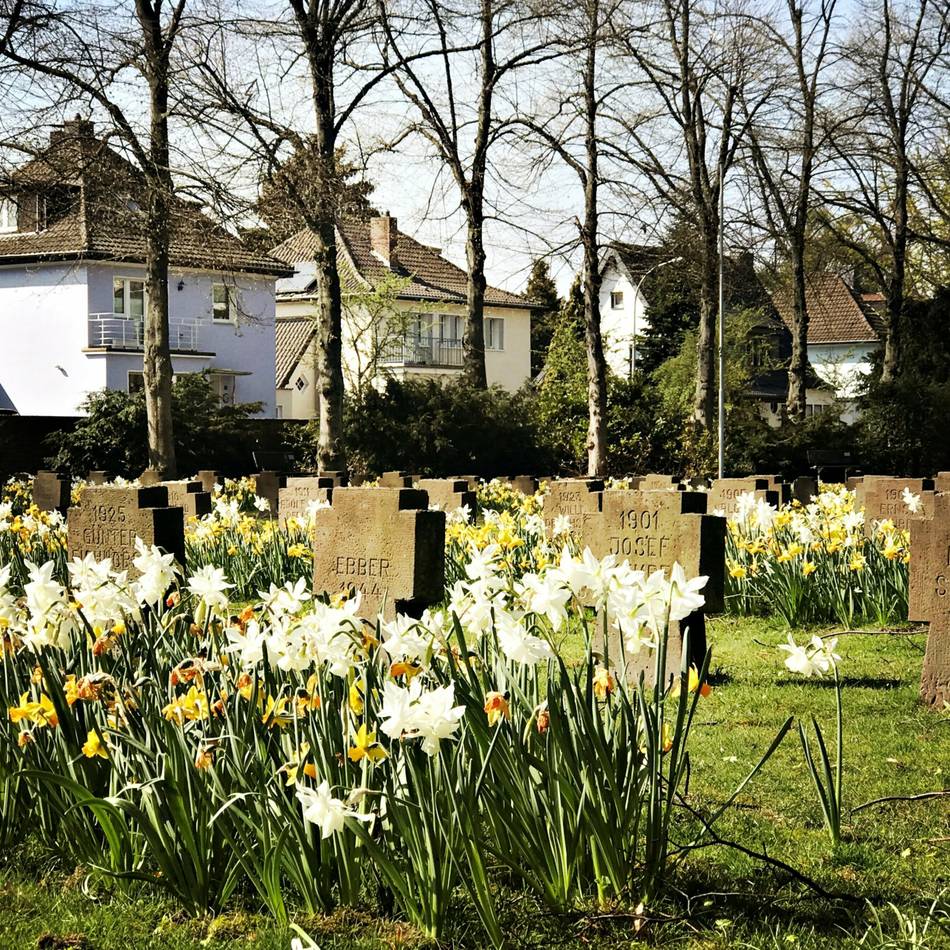 Fördermittel vom Land: So sollen 388.000 Euro die Dormagener Innenstadt aufwerten
