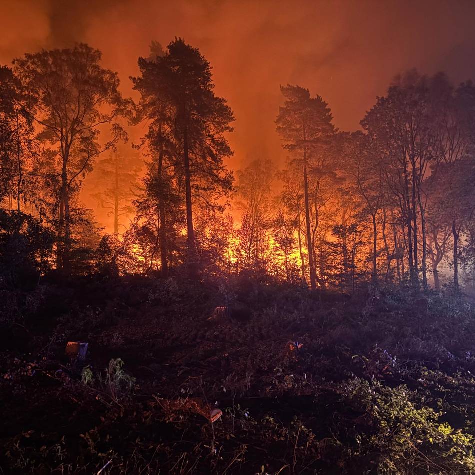 „Solche Bilder vergisst man nicht“: Hochneukircher Helfer arbeiten fünf Meter vor dem Feuer im Hürtgenwald