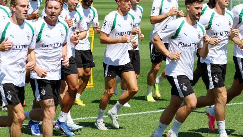 Borussia-Barometer: Saisonprognose, Abgänge, Itakura – Ihre Meinung vor dem Bundesliga-Start ist gefragt