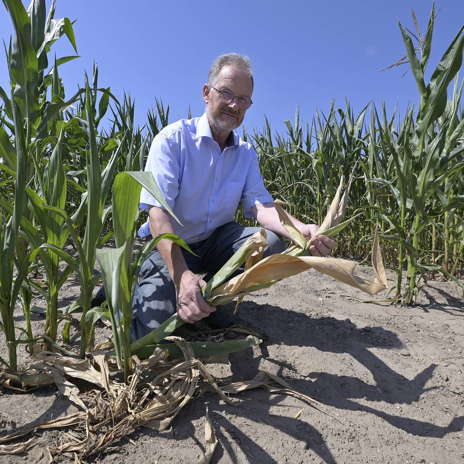 Landwirtschaft im Kreis Viersen: Trockenheit setzt Bauern unter Druck
