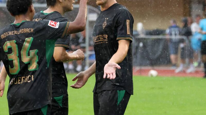 Erkenntnisse des 4:1 gegen Hoffenheim: Glänzende Borussia-Torhüter, Mentalität und Lidbergs Bewerbung
