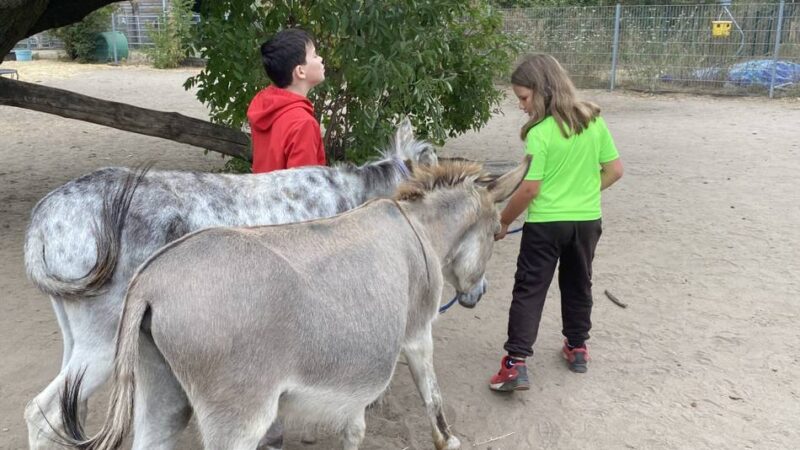 Spaß mit Tieren in Zons: Esel-Oma begrüßt sechs Umweltscouts