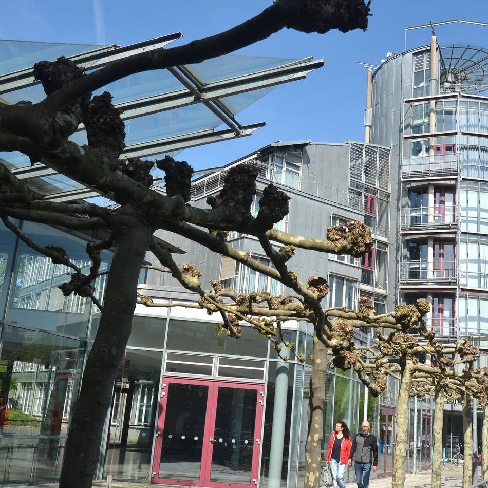 Familienhilfe im Kaarster Rathaus: Neuer Lotsendienst für Eltern gestartet