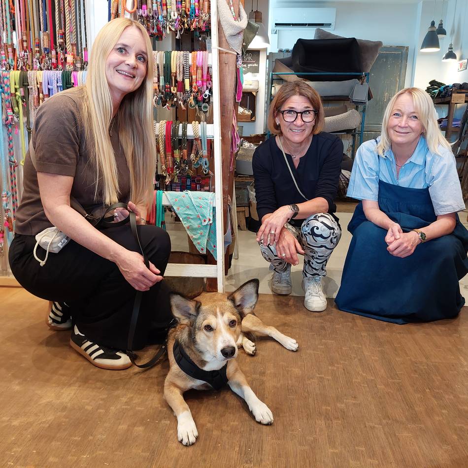 Hundeleben in Düsseldorf : Aus Dogsmopolitan wurde Sniffany