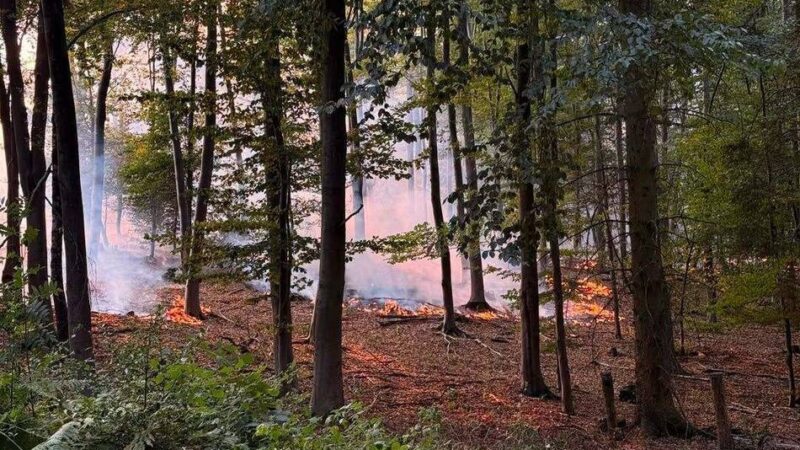 Feuerwehren im Kreis Mettmann: Waldbrand bei Düren – Wehrleute aus Hilden und Haan in evakuiertem Ort im Einsatz