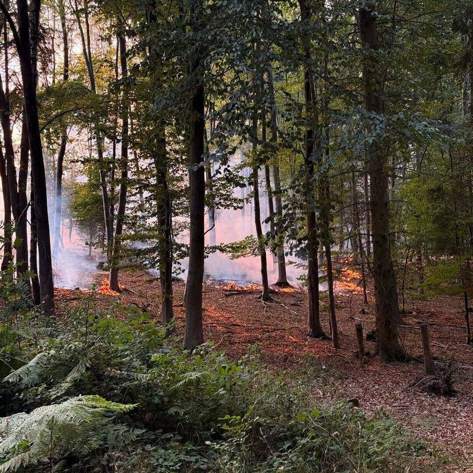 Feuerwehren im Kreis Mettmann: Waldbrand bei Düren – Wehrleute aus Hilden und Haan in evakuiertem Ort im Einsatz