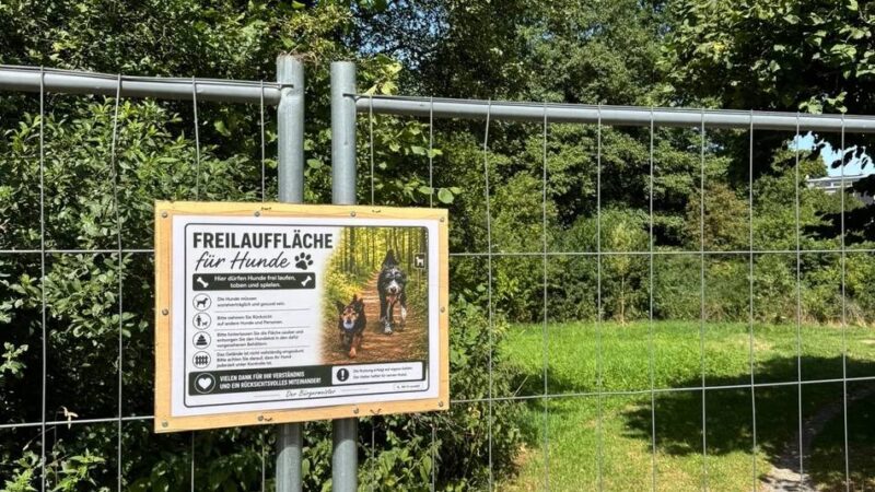 Verwaltung in Radevormwald: Stadt stellt Hundewiese zur Verfügung – als Test