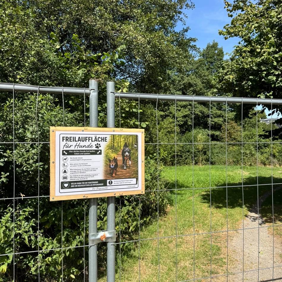 Verwaltung in Radevormwald: Stadt stellt Hundewiese zur Verfügung – als Test