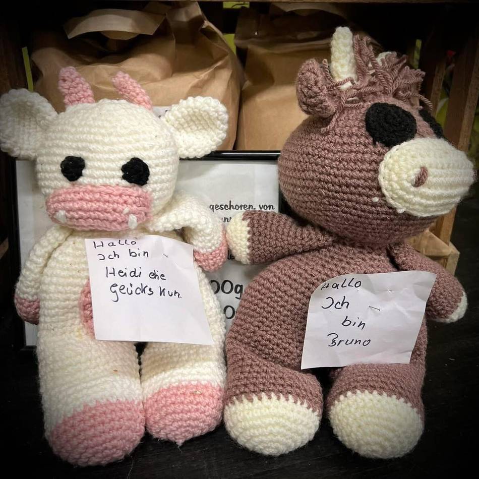 Kurioser Diebstahl in Issum-Sevelen: Bisselshof vermisst seine Kühe Heidi und Bruno