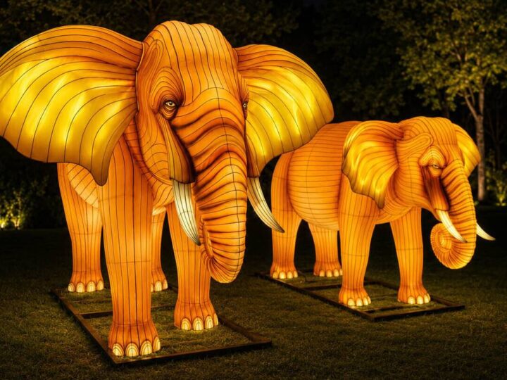 Event in Duisburg: Zoo Duisburg verwandelt sich in ein Meer aus Licht