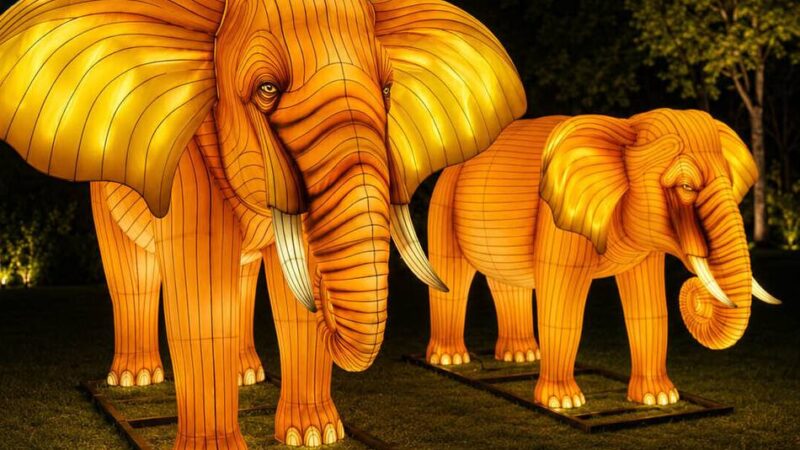 Event in Duisburg: Zoo Duisburg verwandelt sich in ein Meer aus Licht