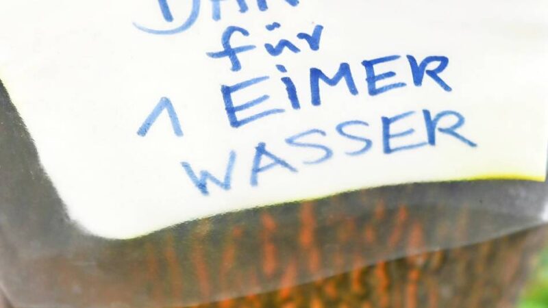 Die TBV stellen kostenlos Bewässerungssäcke zur Verfügung: Gießpaten für Velberts Straßenbäume