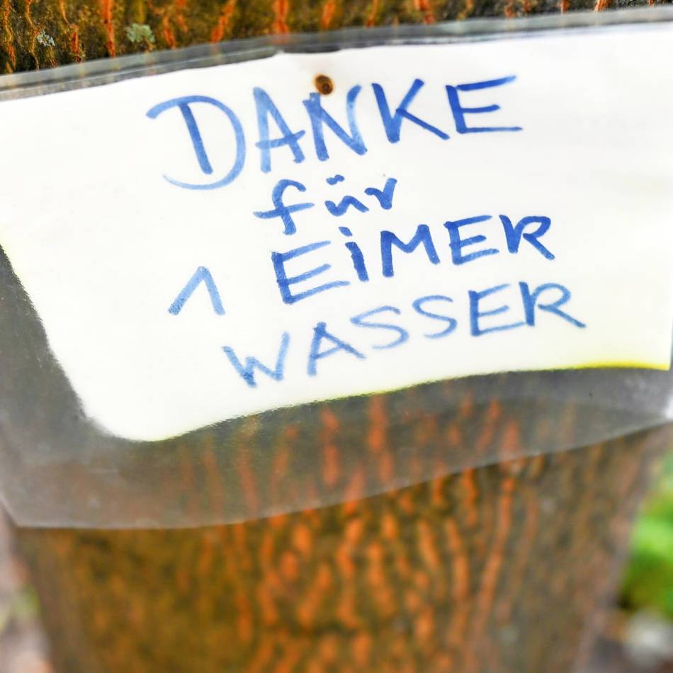 Die TBV stellen kostenlos Bewässerungssäcke zur Verfügung: Gießpaten für Velberts Straßenbäume