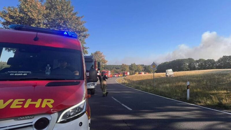 Waldbrand in NRW: Dormagener Feuerwehr unterstützt Löscharbeiten im Hürtgenwald