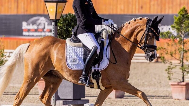 Gold für deutsche Equipe: Reiterverein Sevelen feiert Europameisterin Victoria Winkmann
