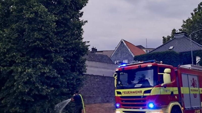 Ungewöhnlicher Feuerwehreinsatz: Wasser marsch für durstige Bäume