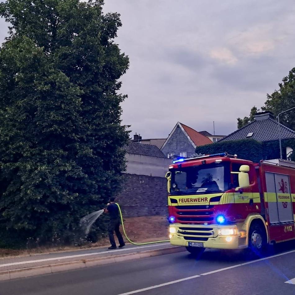 Ungewöhnlicher Feuerwehreinsatz: Wasser marsch für durstige Bäume