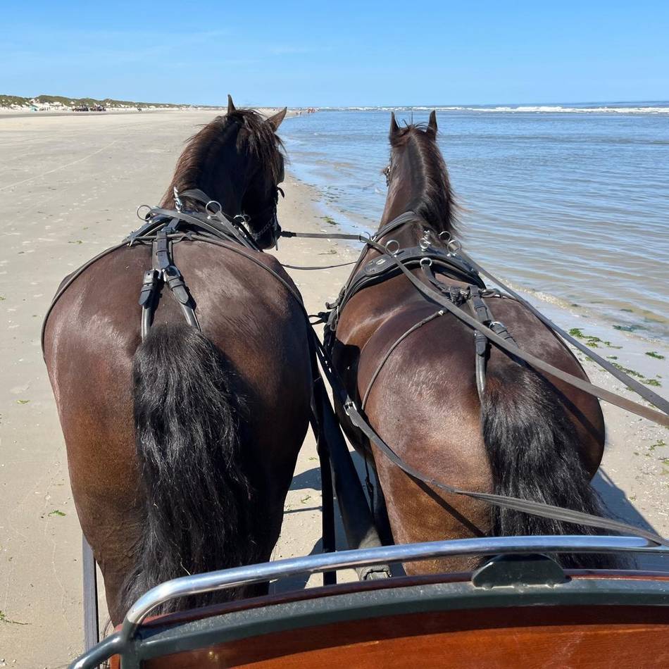 Geheimtipps für das niederländische Eiland: Warum die Deutschen den Urlaub auf Ameland so sehr lieben