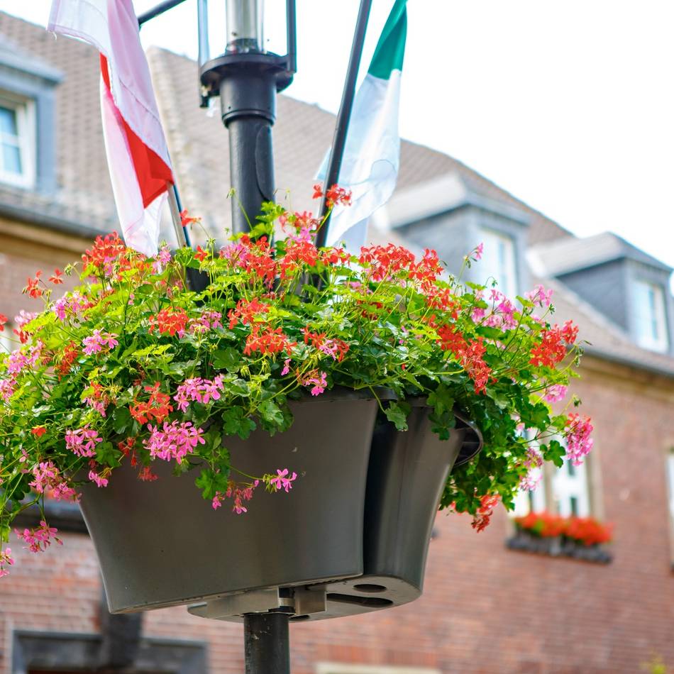 Jetzt sind Unterstützer gesucht: Blumenampeln für 10.000 Euro in Dormagen
