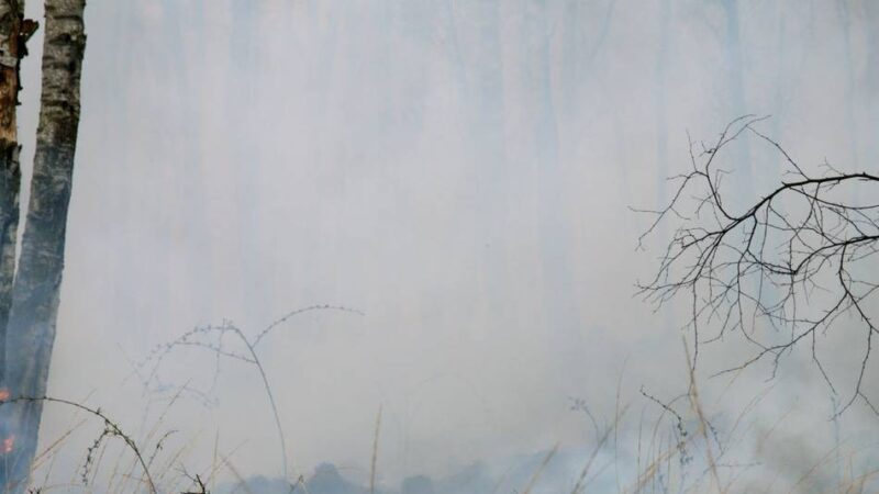 Unweit der Stadtgrenze zu Leverkusen: Feuerwehr stoppt Waldbrand in Burscheid
