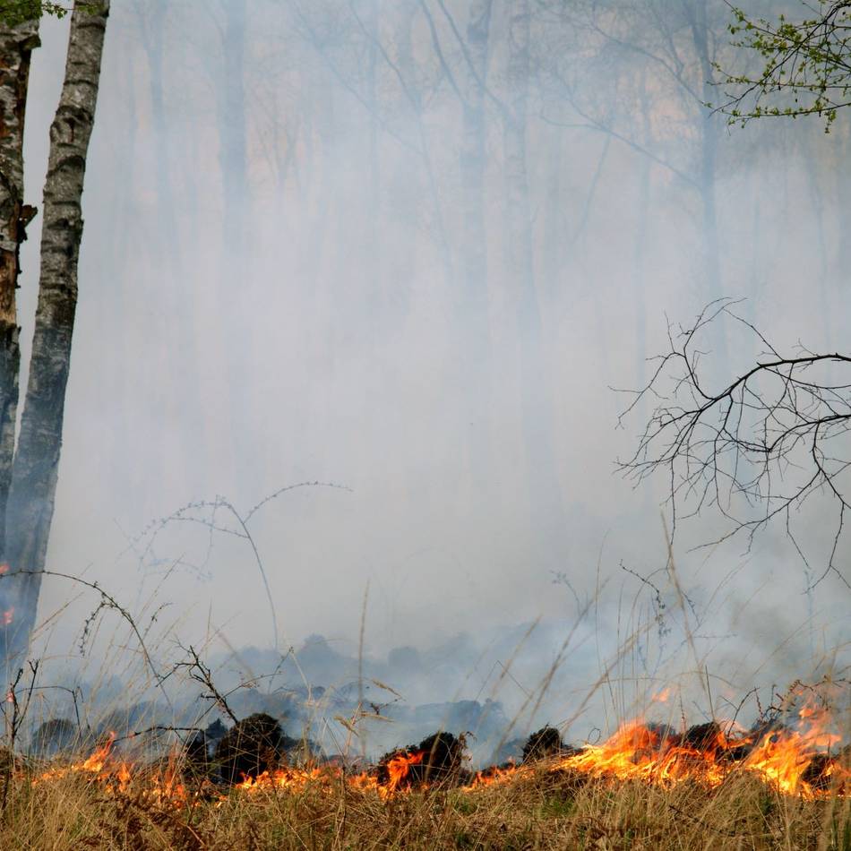 Unweit der Stadtgrenze zu Leverkusen: Feuerwehr stoppt Waldbrand in Burscheid