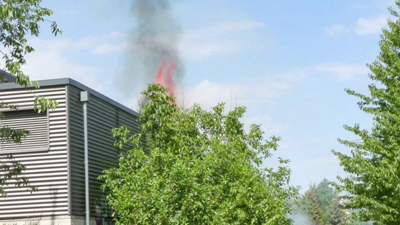Feuerwehreinsatz in Langenfeld: Vegetationsbrand an der Karl-Benz-Straße