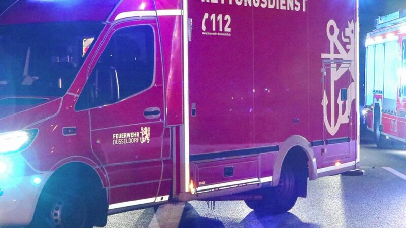Großeinsatz in Düsseldorf: Feuerwehr rettet Katzen aus brennender Wohnung