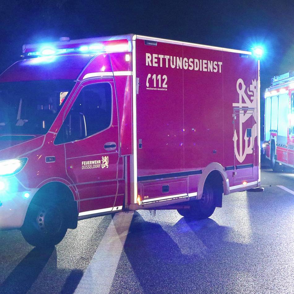 Großeinsatz in Düsseldorf: Feuerwehr rettet Katzen aus brennender Wohnung