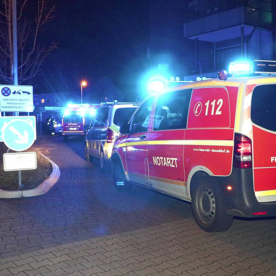 Feuerwehr fängt gefährliches Tier ein : Frau am Flughafen Düsseldorf von giftigem Skorpion gestochen