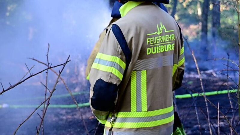 Feuerwehr löscht Brand: Waldstück in der Nähe des Toeppersee in Flammen