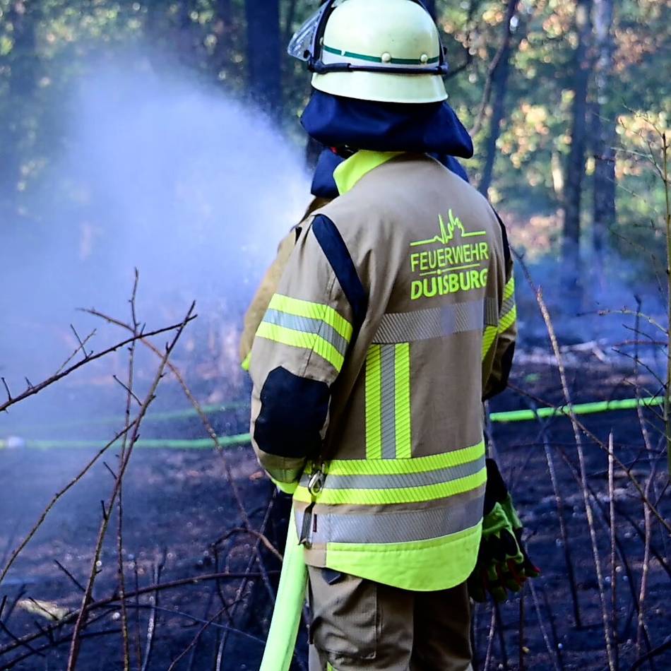 Feuerwehr löscht Brand: Waldstück in der Nähe des Toeppersee in Flammen