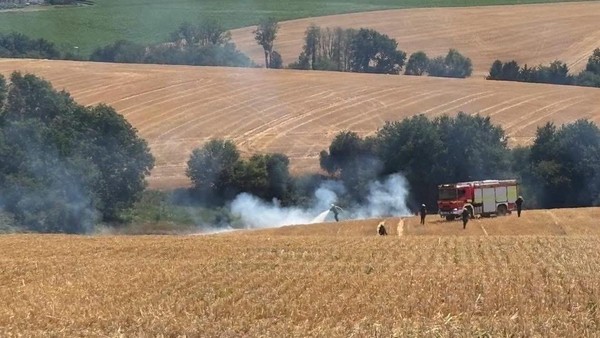 THW, Feuerwehr und Co.: Mit neuen Konzepten gegen die Folgen des Klimawandels