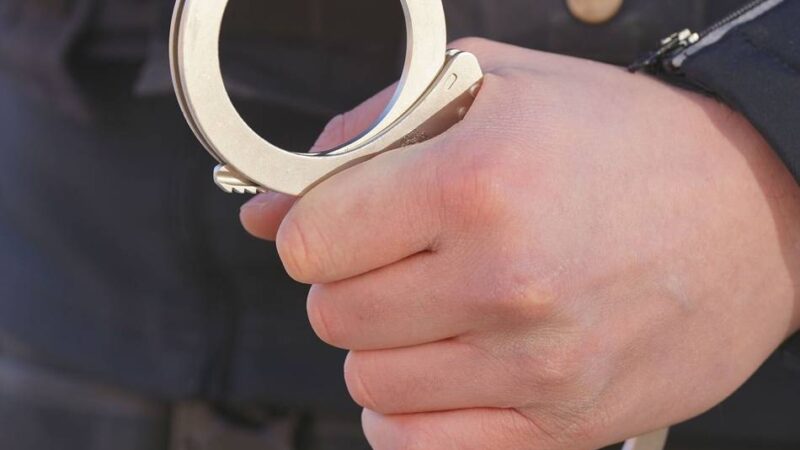 Nächtlicher Einsatz in Rheindorf: Polizeihund „Ciri“ stellt drei Verdächtige an Leverkusener Schule