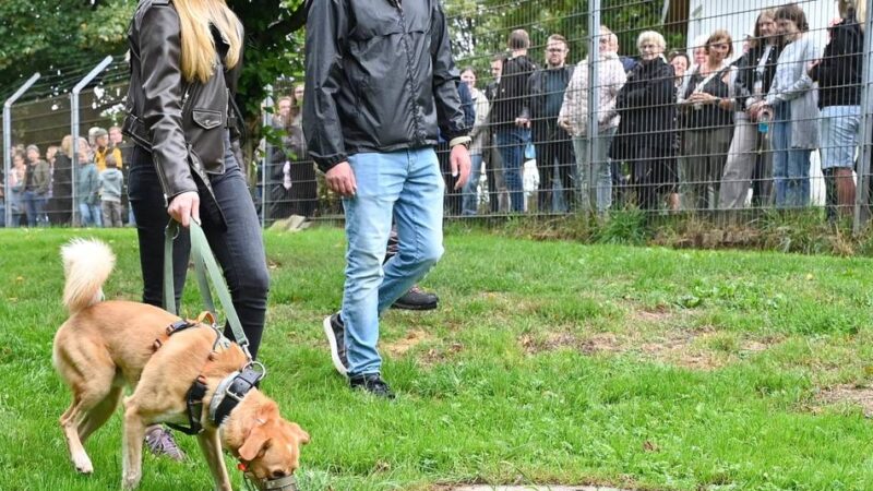 Tierheim für Radevormwald und Remscheid: „Das rührt uns jedes Mal zu Tränen“
