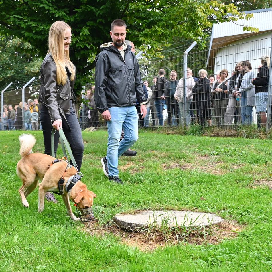 Tierheim für Radevormwald und Remscheid: „Das rührt uns jedes Mal zu Tränen“